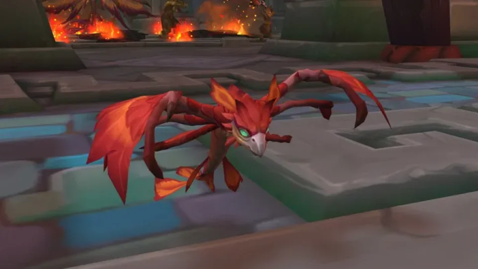 Le patch 12.0.7 de WoW permet d’obtenir une nouvelle mascotte faucon-dragon